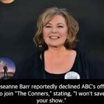 Roseanne Barr reportedly declined ABC’s offer to join “The Conners,” stating, “I won’t save your show.”